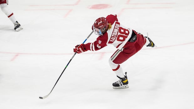 pwhl-mock-draft:-who-could-your-favourite-team-pick-on-tuesday?