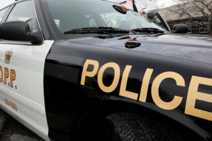 ottawa-man-camping-with-child-dies-after-tree-falls-on-tent-at-mallorytown-campsite