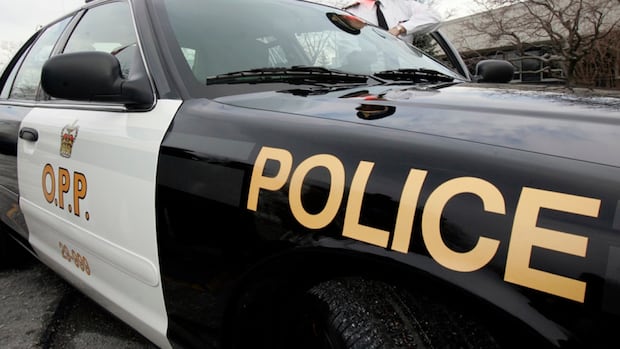 ottawa-man-camping-with-child-dies-after-tree-falls-on-tent-at-mallorytown-campsite