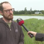province-warns-of-blue-green-algae-in-pei.-pond
