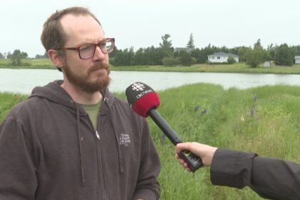 province-warns-of-blue-green-algae-in-pei.-pond