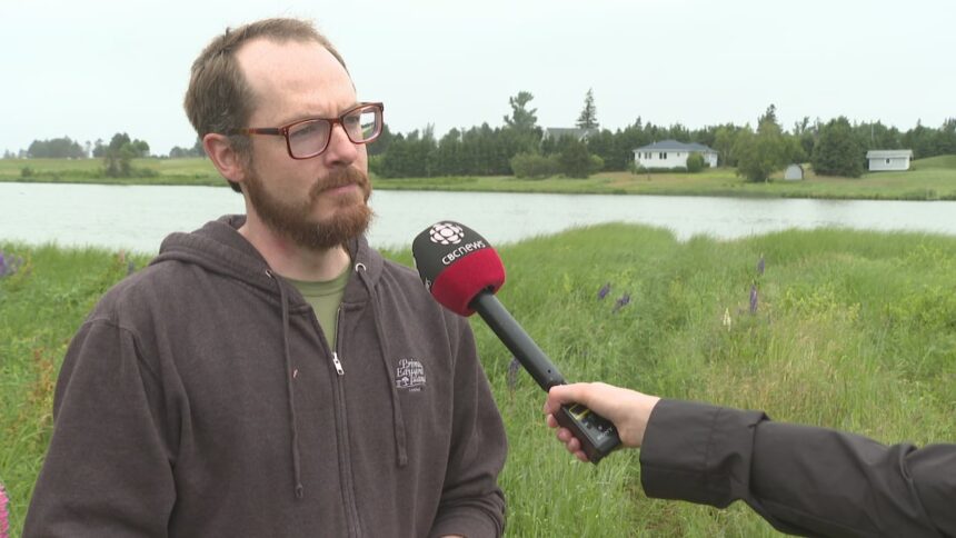 province-warns-of-blue-green-algae-in-pei.-pond