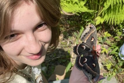 16-year-old-aspiring-entomologist-finds-rare-moth-in-her-nb.-neighbourhood