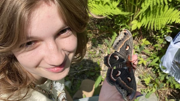 16-year-old-aspiring-entomologist-finds-rare-moth-in-her-nb.-neighbourhood