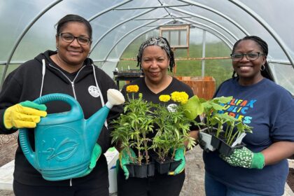 this-food-network-is-expanding-to-offer-more-nutritious-options