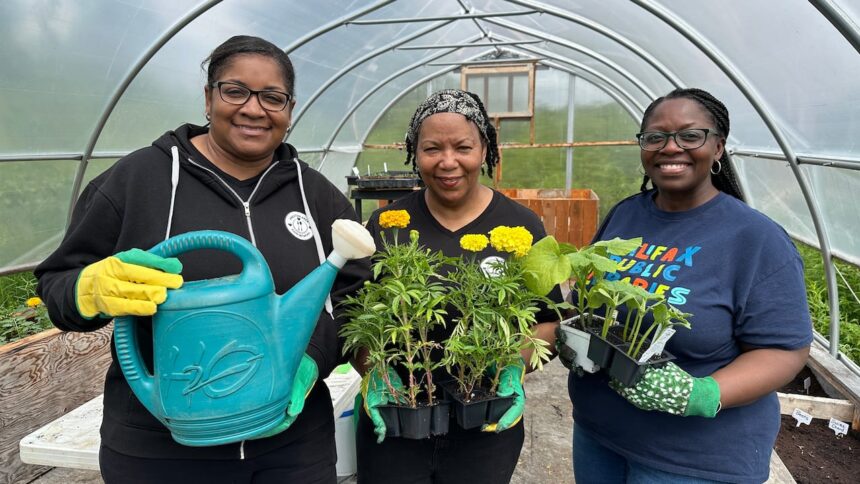 this-food-network-is-expanding-to-offer-more-nutritious-options