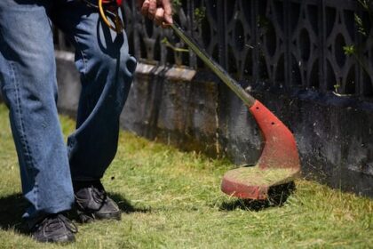 winnipegger-whacked-with-mowing-bill-from-city-says-long-grass-complaint-‘doesn’t-make-sense’