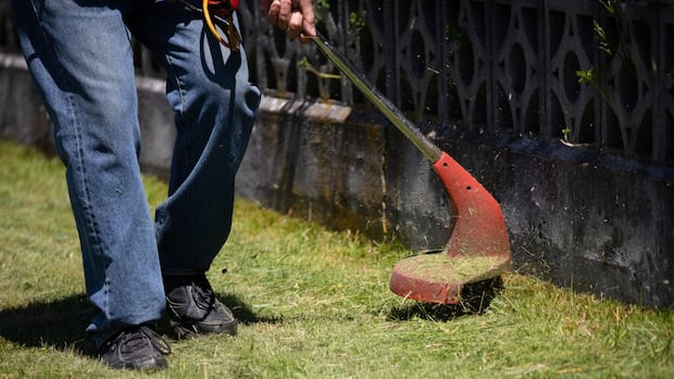 winnipegger-whacked-with-mowing-bill-from-city-says-long-grass-complaint-‘doesn’t-make-sense’