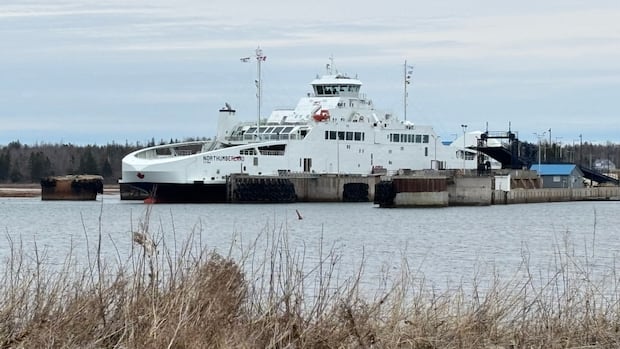 transport-canada-‘pledging-to-dredge’-wood-islands-harbour,-says-pei.-mp