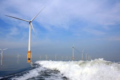donald-trump’s-disdain-for-wind-energy-could-create-windfall-for-nova-scotia:-experts