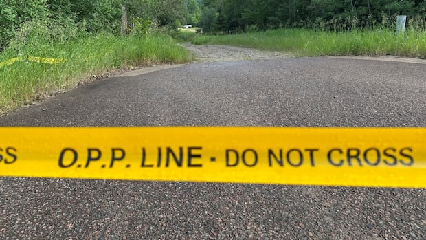 police-suspect-animal-attack-after-girl-seriously-injured-in-quadeville,-ont.