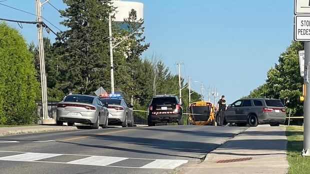 boy-dies-after-being-struck-by-school-bus-in-almonte,-ont.