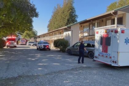 tsb-report-into-fatal-plane-crash-says-aircraft-may-have-been-flying-too-slowly