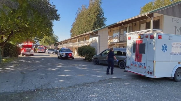 tsb-report-into-fatal-plane-crash-says-aircraft-may-have-been-flying-too-slowly