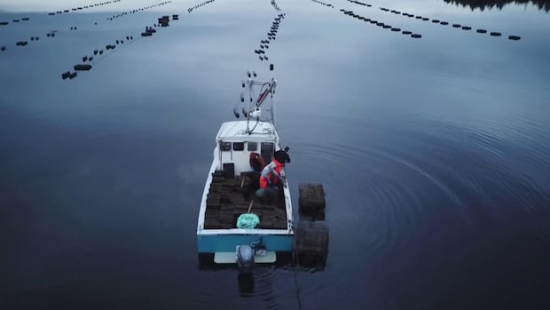 minister-confident-in-process-amid-concerns-about-aquaculture-development