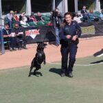 ex-cbsa-dog-handler-who-contested-maternity-leave-policy-faced-‘mobbing’-of-harassment:-report