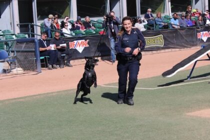 ex-cbsa-dog-handler-who-contested-maternity-leave-policy-faced-‘mobbing’-of-harassment:-report
