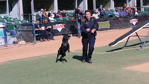 ex-cbsa-dog-handler-who-contested-maternity-leave-policy-faced-‘mobbing’-of-harassment:-report