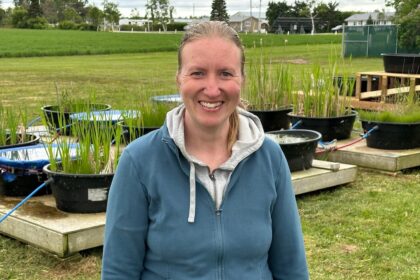 pei.-researcher-developing-wetlands-to-help-recycle-wastewater-on-dairy-farms