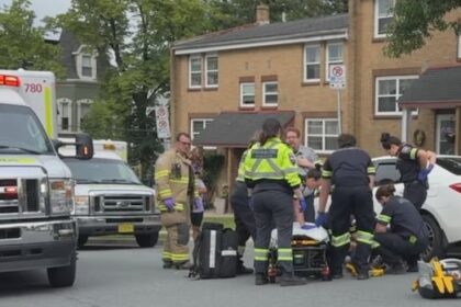 halifax-police-investigating-weapons-complaint-near-gottingen-street