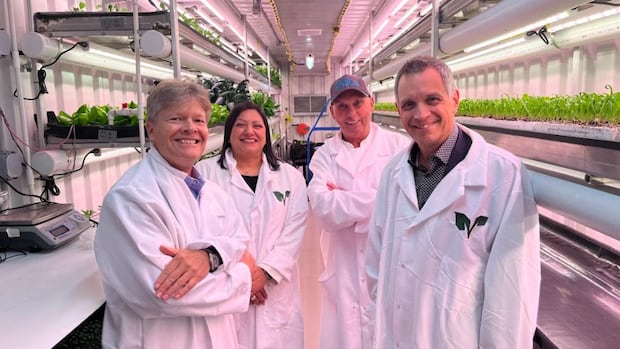 hydroponic-farmer,-ottawa-mission-tackle-food-insecurity-under-the-glow-of-led-lights