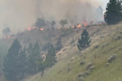 brush-fire-near-hospital-in-kamloops,-bc.,-sends-smoke-billowing-through-city