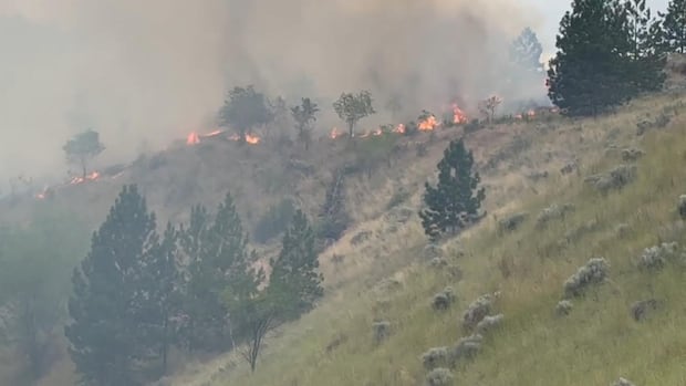 brush-fire-near-hospital-in-kamloops,-bc.,-sends-smoke-billowing-through-city