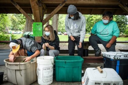 what-it-looks-like-when-indigenous-people-take-control-of-climate-stewardship-on-their-land