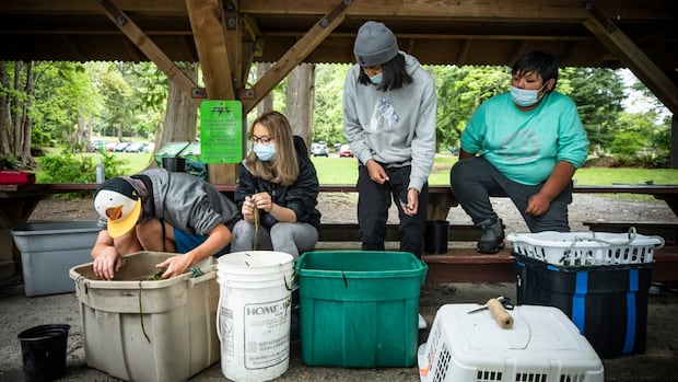 what-it-looks-like-when-indigenous-people-take-control-of-climate-stewardship-on-their-land