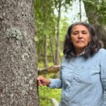 wolastoqey-group-walks-to-ancient-tree-in-lorneville-area-proposed-for-development