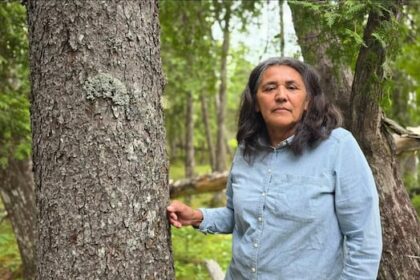 wolastoqey-group-walks-to-ancient-tree-in-lorneville-area-proposed-for-development