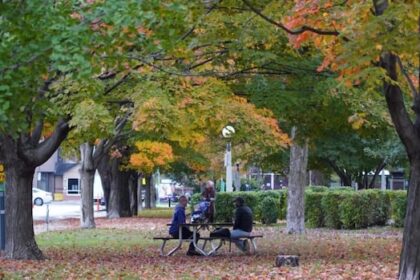 legal-drinking-coming-to-7-ottawa-parks-starting-july-1