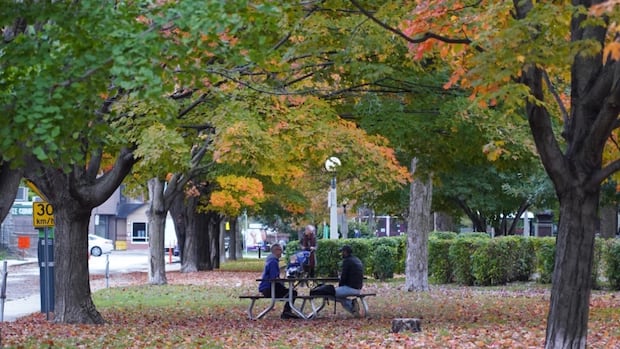 legal-drinking-coming-to-7-ottawa-parks-starting-july-1