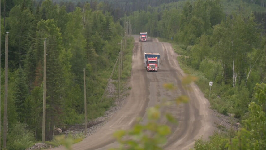 opposition-grows-to-proposed-forestry-bill-in-quebec