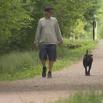 increase-in-dog-bite-incidents-prompts-wolfville-park-to-limit-off-leash-hours