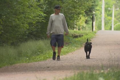 increase-in-dog-bite-incidents-prompts-wolfville-park-to-limit-off-leash-hours