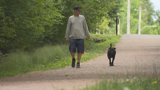 increase-in-dog-bite-incidents-prompts-wolfville-park-to-limit-off-leash-hours