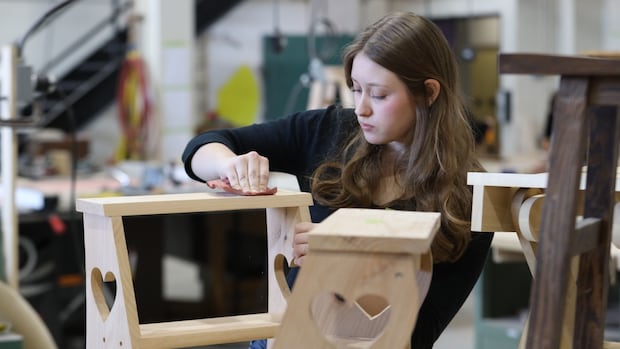 to-‘build,-baby,-build,’-this-country-is-going-to-need-a-whole-lot-more-shop-teachers