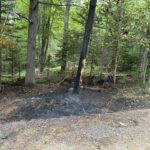 one-dead-after-kings-county-crash