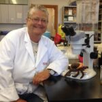 tick-population-booming-in-nb.-after-successive-mild-winters,-expert-says