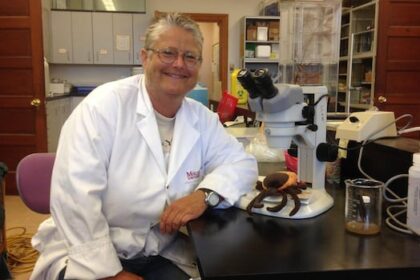 tick-population-booming-in-nb.-after-successive-mild-winters,-expert-says