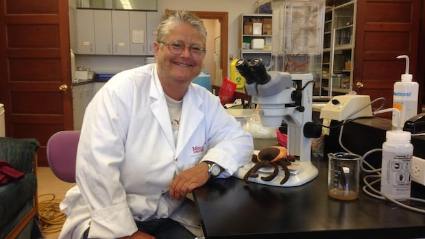 tick-population-booming-in-nb.-after-successive-mild-winters,-expert-says