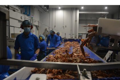 getting-together:-nl-fisheries-union-says-meeting-with-minister-was-productive