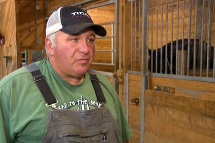 halifax-area-recreation-farm-asks-neighbours-to-hold-off-on-fireworks