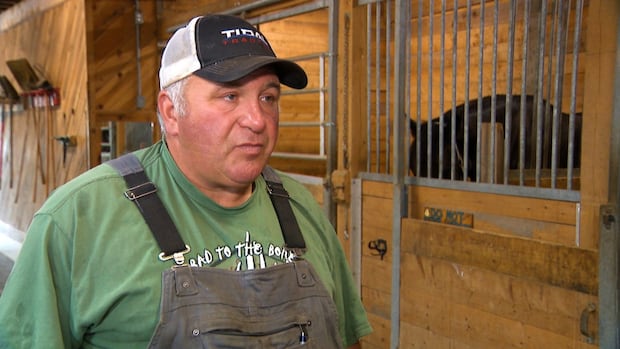 halifax-area-recreation-farm-asks-neighbours-to-hold-off-on-fireworks