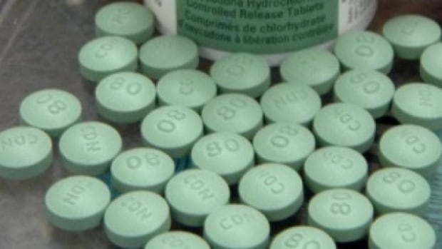 nb.-opioid-deaths-involving-fentanyl-at-all-time-high,-says-public-health