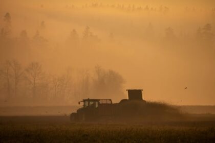 bc.’s-farmers-lost-$457m-in-2024,-the-most-in-canada