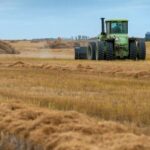 sask.-company-using-flax-waste-to-create-sustainable-cat-litter