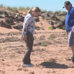 tignish-residents-fear-they-may-never-again-be-able-to-use-beach-due-to-sludge-dumping