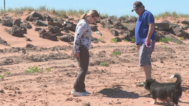 tignish-residents-fear-they-may-never-again-be-able-to-use-beach-due-to-sludge-dumping